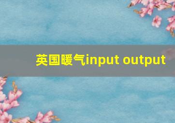 英国暖气input output